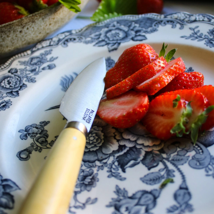 Pallarés Traditionell Kökskniv Kolstål - 9 Cm 2 Pallarés Traditionell Kökskniv Kolstål - 9 Cm - Bild 2